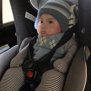 Meet your Posher, Lily